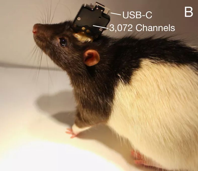 Neuralink Projesinin Amacı Ne