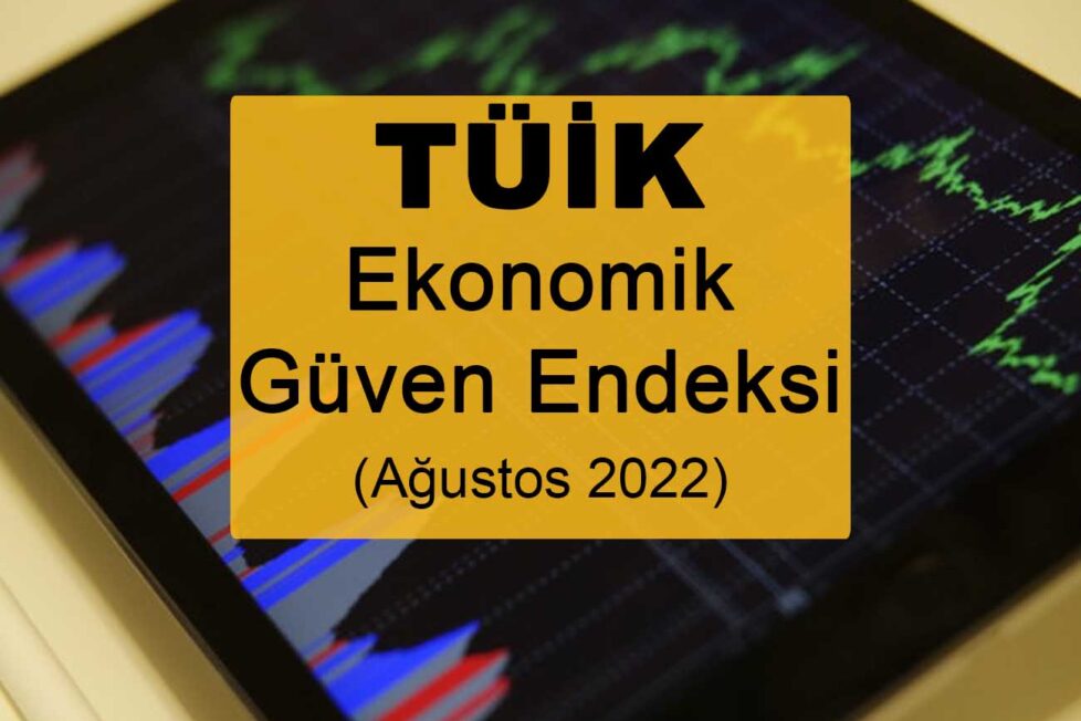 Ekonomik Güven Endeksi (Ağustos 2022)