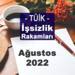 İşsizlik Rakamları (Ağustos 2022)