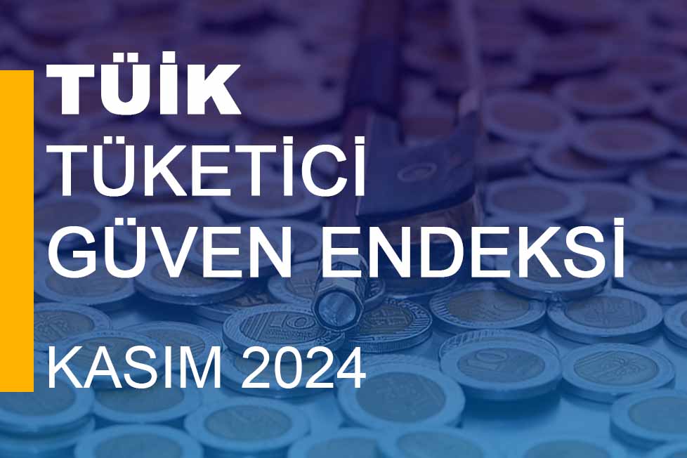 Tüketici Güven Endeksi (Kasım 2024)