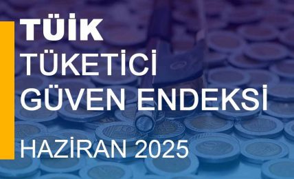 Tüketici Güven Endeksi (Haziran 2025)