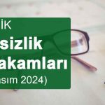İşsizlik Rakamları (Kasım 2024)