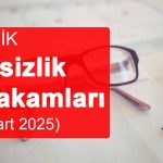 İşsizlik Rakamları (Mart 2025)