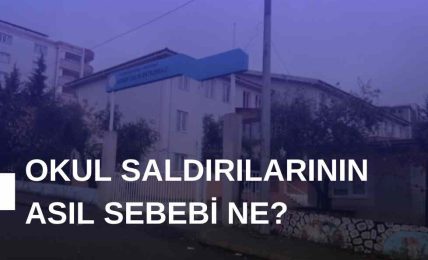 Okul Saldırılarının Asıl Sebebi Ne?