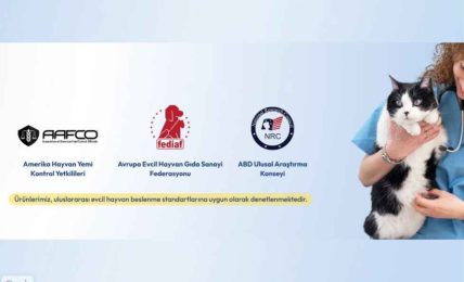 ProfPetMama Veteriner Beslenmesinde İhtiyaca Özel Ürünlere Odaklanıyor