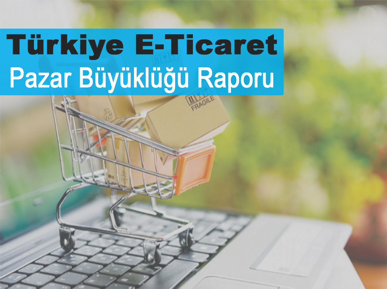 Türkiye e-Ticaret Pazar Büyüklüğü Raporu