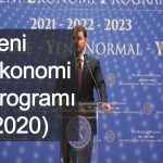 Yeni Ekonomi Programı (2020)