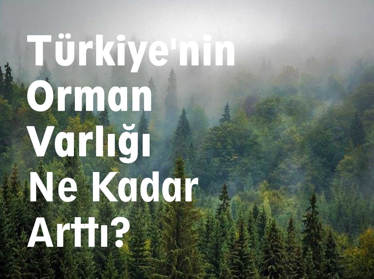 Türkiye nin Orman Varlığı