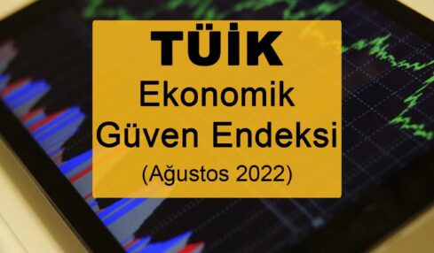 Ekonomik Güven Endeksi (Ağustos 2022)