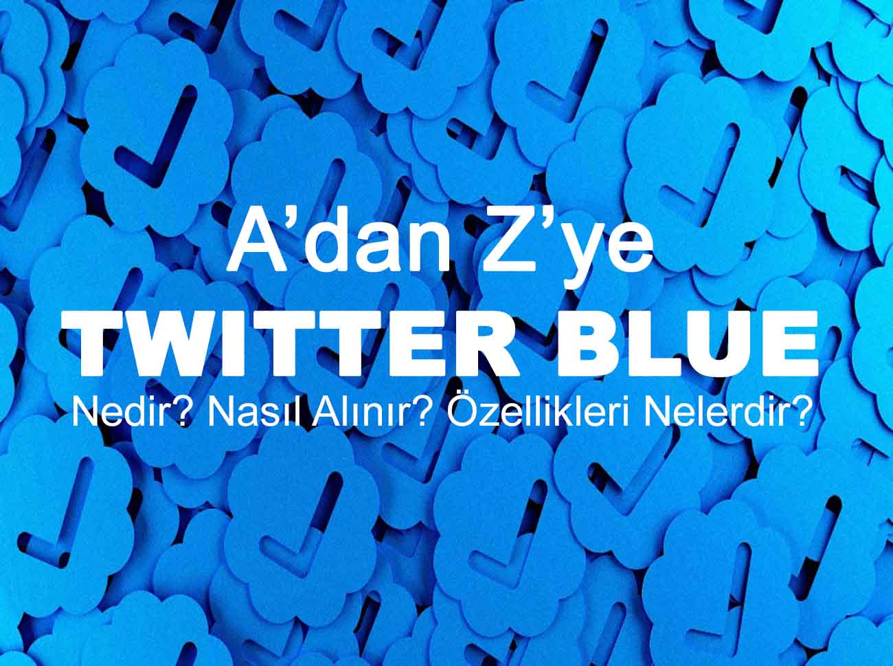 Twitter Blue Nedir? Nasıl Alınır?
