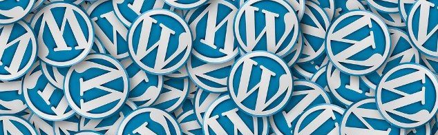 Wordpress Hosting Türleri